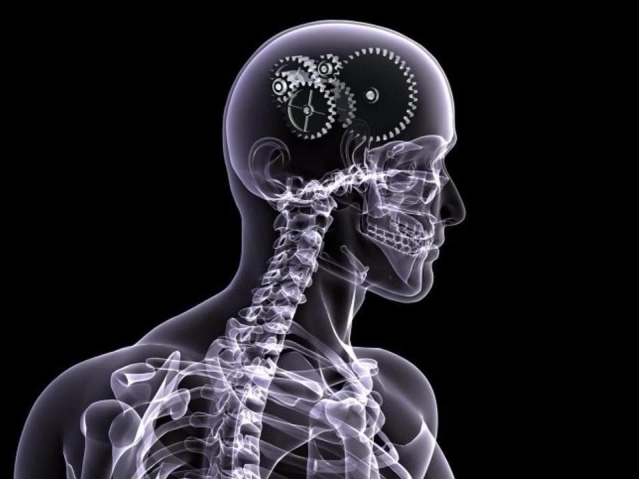 проведение собеседований тренинг